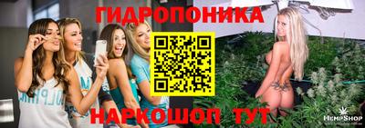индика Конаково