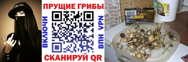 гидра ONION  цены   Карабулак  Галлюциногенные грибы мицелий 